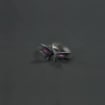 Valorant Clove Butterflies Signet Ring - Sterling Silver